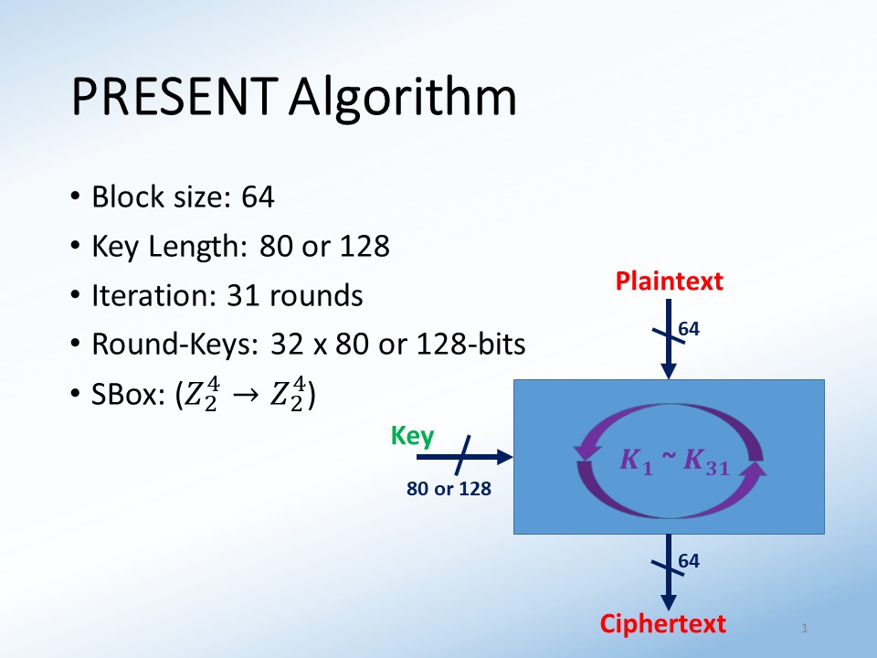 AnalysisCountermeasure of Lightweight Block Ciphers Applied to IoT Devices