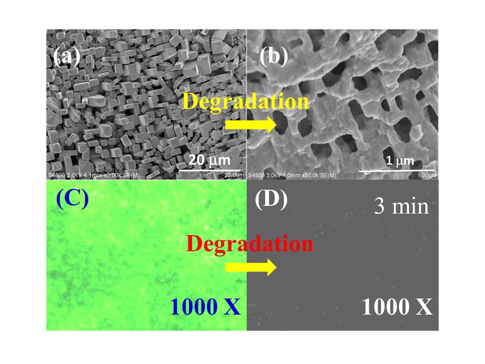 Zinc Oxide NanocapsulesManufacturing method