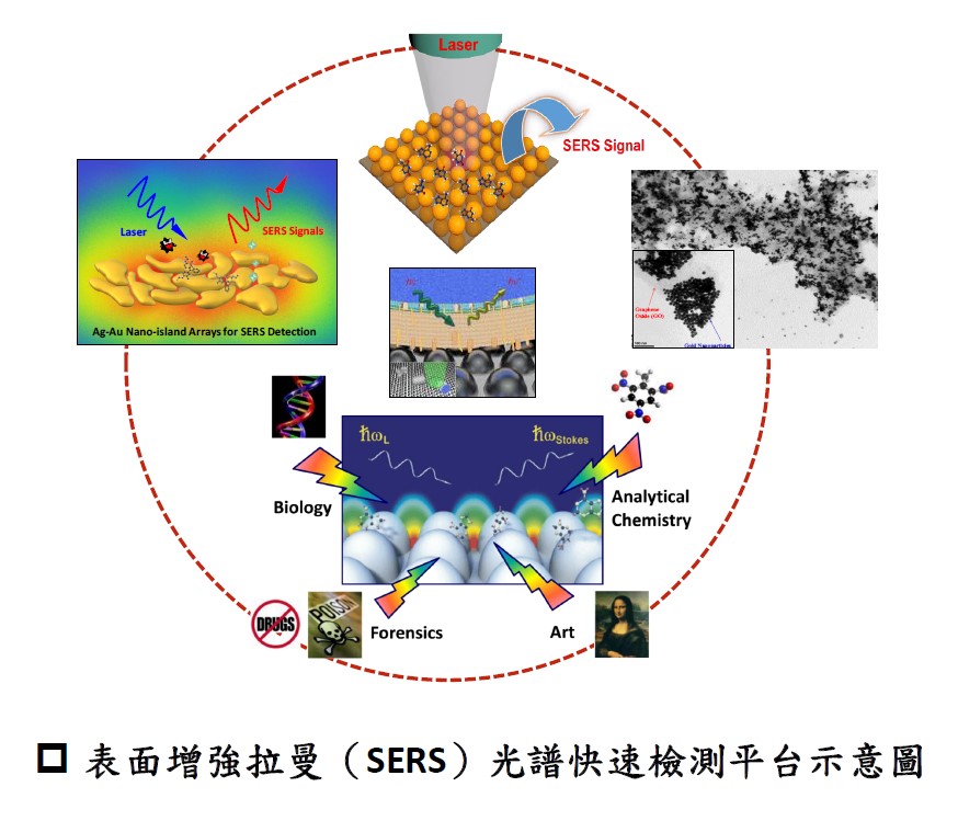 2D Nanoparticle Arrays of Surface-Enhanced Raman Scattering (SERS) Detection Platform for Environmental-Biomedical Sensing