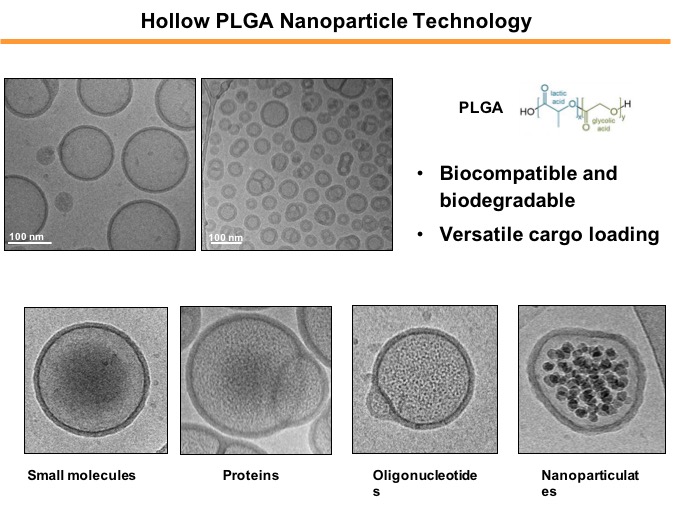 Viromimetic hollow nanoparticles for antiviralanticancer vaccination