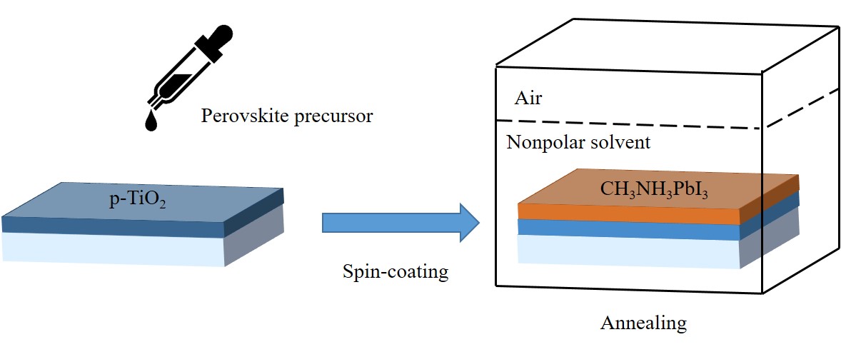 Directly-processed large-scale perovskite solar cell