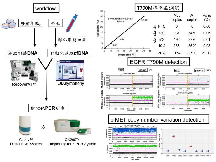 Development of digital PCR-IVD for FFPEliquid biopsy detection in cancer personalized therapy