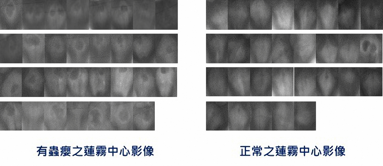 Automatic image processingpest detection algorithms for X-ray fruit images