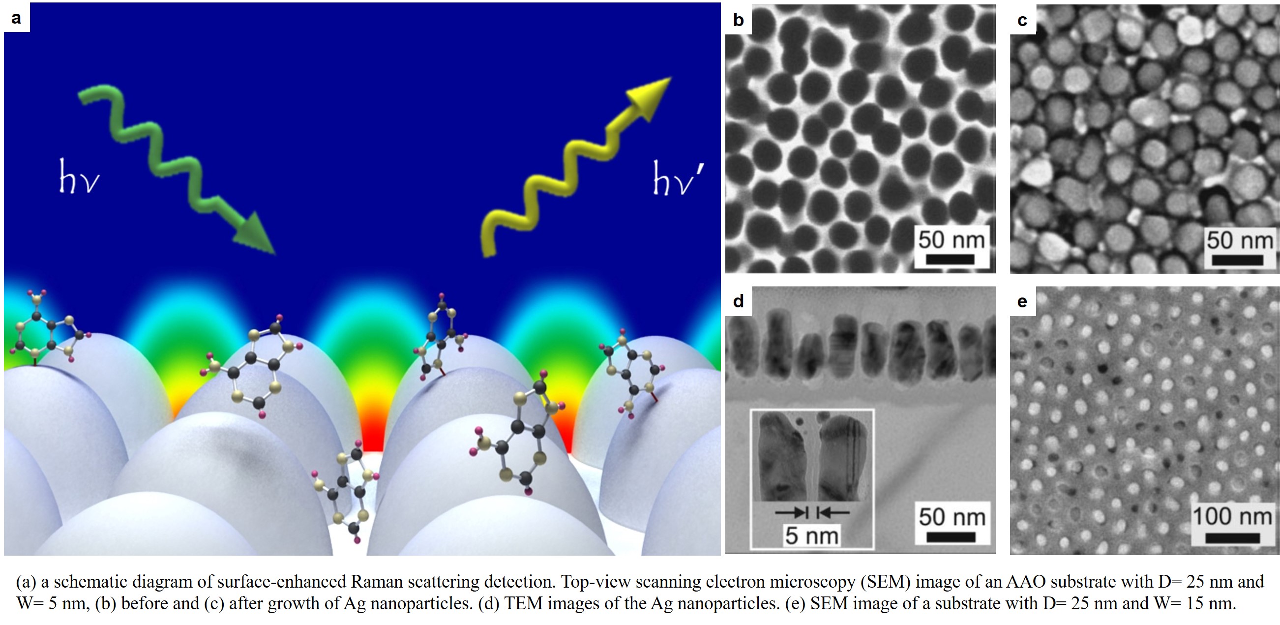 Breakthroughs in Surface-Enhanced Raman Scattering for Rapid Molecular Sensing