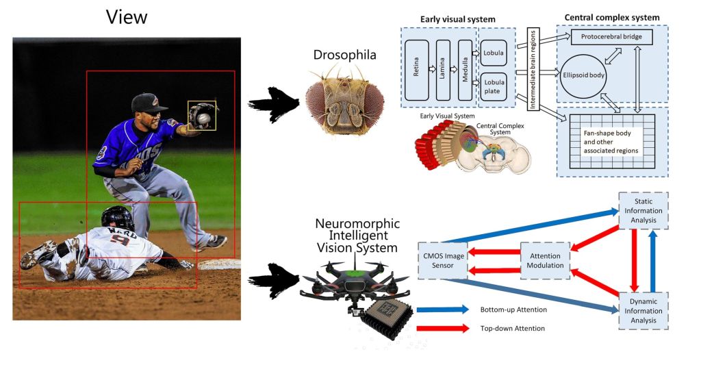 Neuromorphic Intelligent Visual System for Low-Power Edge Devices