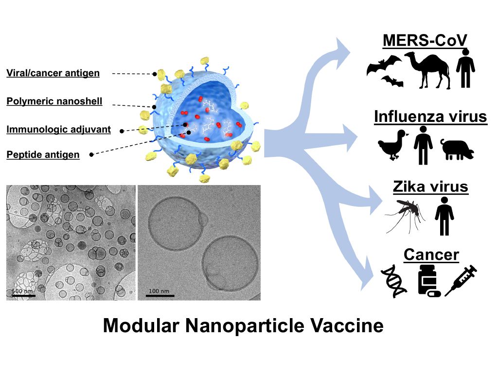 Modular Polymeric Nanoshells for Precision AntiviralAnticancer Vaccination