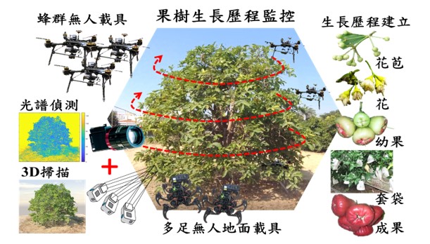網宇實體感測(CPS)3D立體建模應用於果樹生長監控
