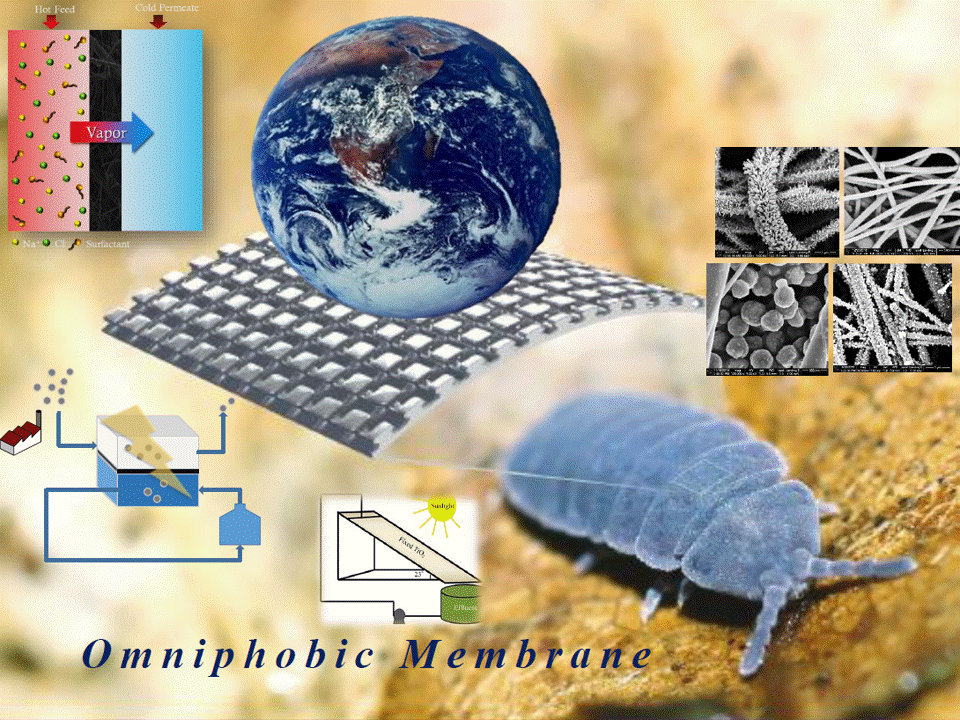 Preparation of biomimetic omniphobic porous membrane for application in membrane contactor