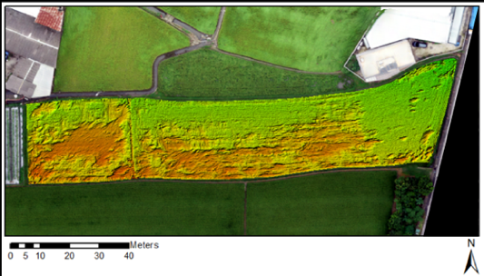 Real-time identification of crop losses using UAV imagery