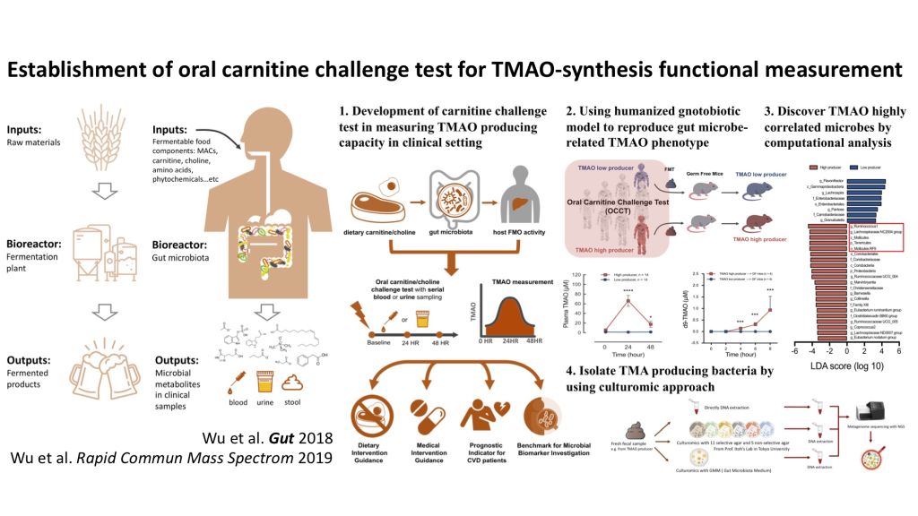 Establishment of oral carnitine challenge test for microbiota-directed personalized nutrition
