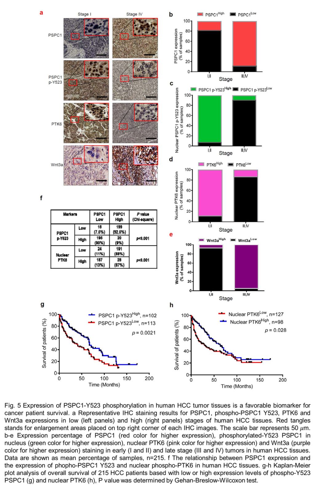 PARASPECKLE COMPONENT 1 （PSPC1） PROMOTING EPITHELIAL-MESENCHYMAL TRANSITION, STEMNESS AND METASTASIS AS AN ANTI-CANCER TARGET