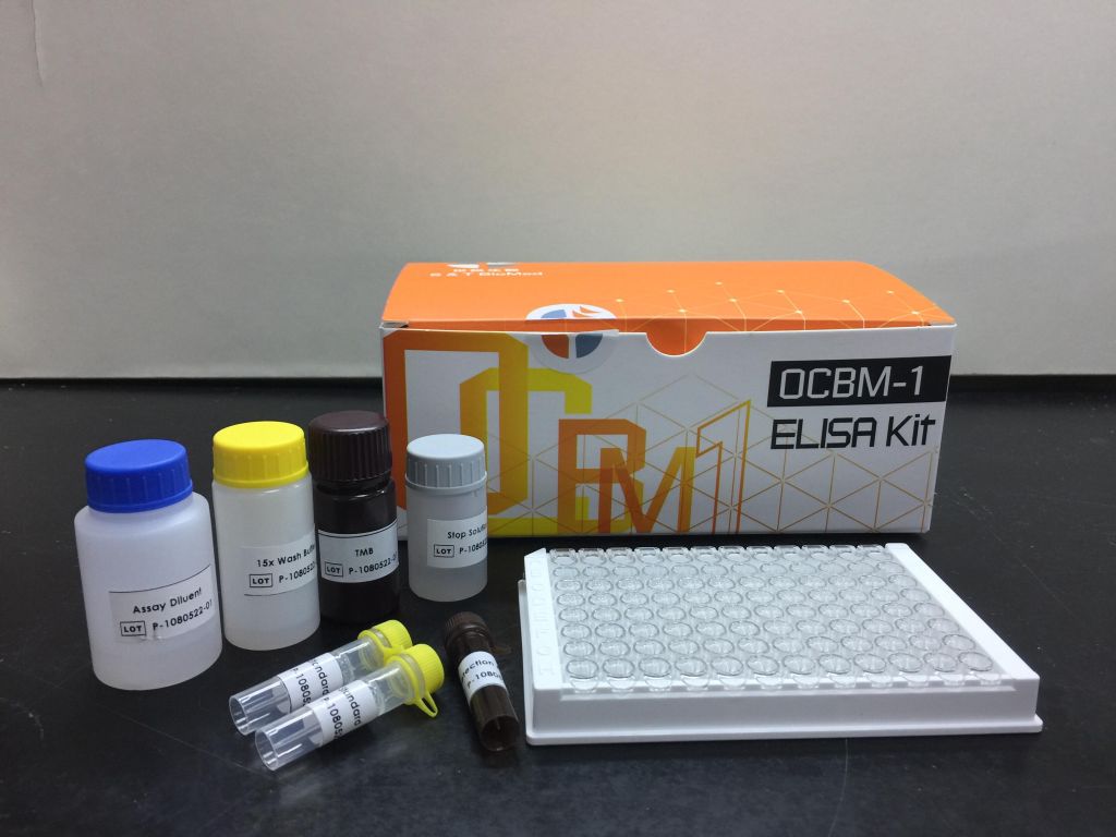 Immunoassay for A Newly Verified Oral Cancer Biomarker