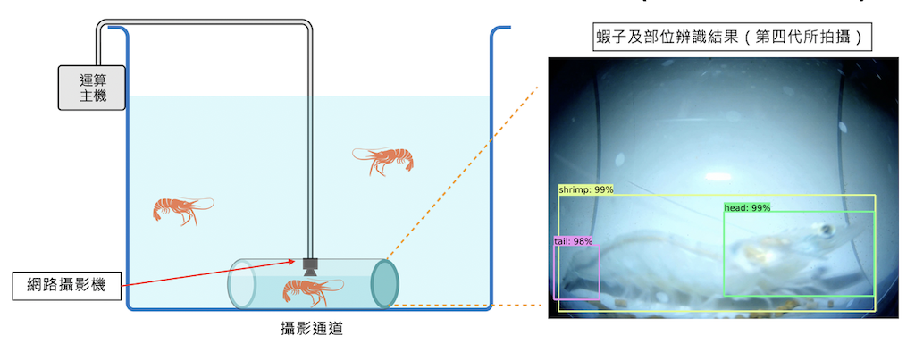 結合人工智慧影像處理之蝦子辨識與體長測量模組