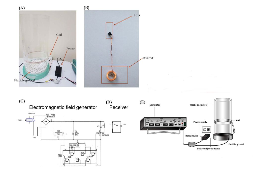A wireless magnetic resonance device for optogenetic applications in animal model