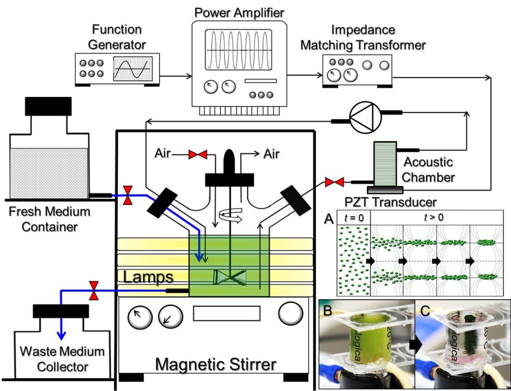 Resonant Ultrasound Field-Incorporated Dynamic Photobioreactor System: An Innovated Device for High-Density Microalgal Culture