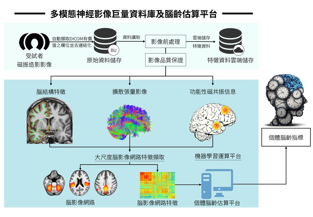Using neuroimaging and machine learning approach to construct brain-age estimation platform