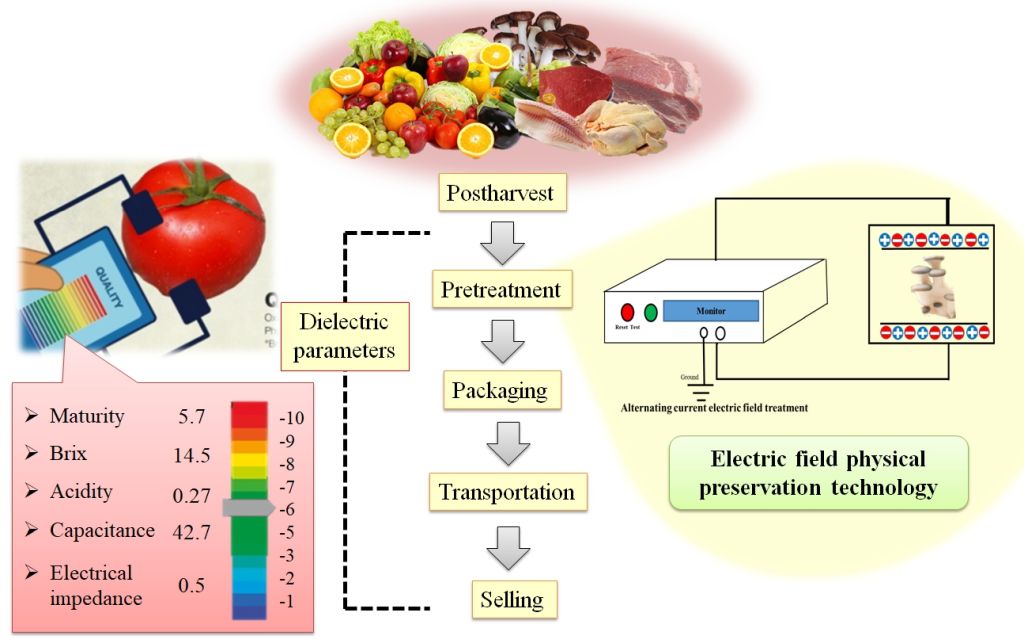 Solution of Agricultural products quality from farm to table- green  preservation  technology