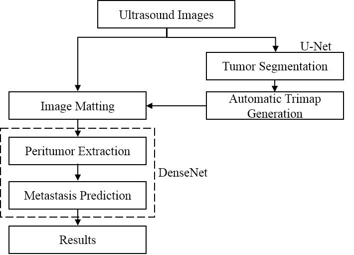 Metastasis Cancer Prediction of Breast Ultrasound Using Deep Convolutional Neural Network