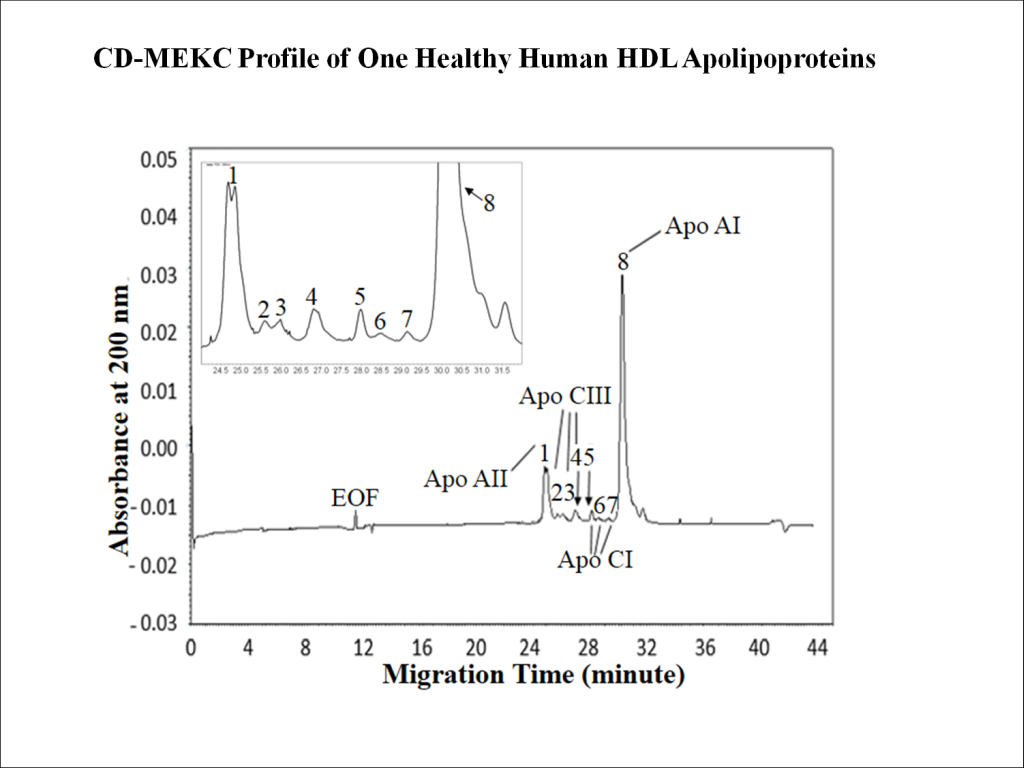 Method and Kit for Quantitative Analysis of the Apolipoproteins in High Density Lipoprotein by Capillary Electrophoresis