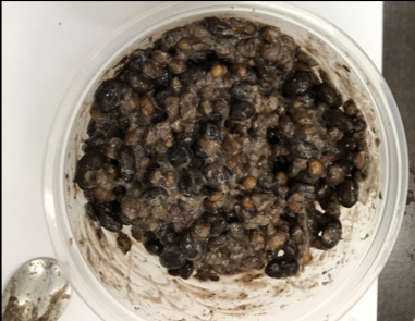 Fermentation technology: fermented black soybean and adlay with Bacillus subtilis (natto) for “LOHAS”