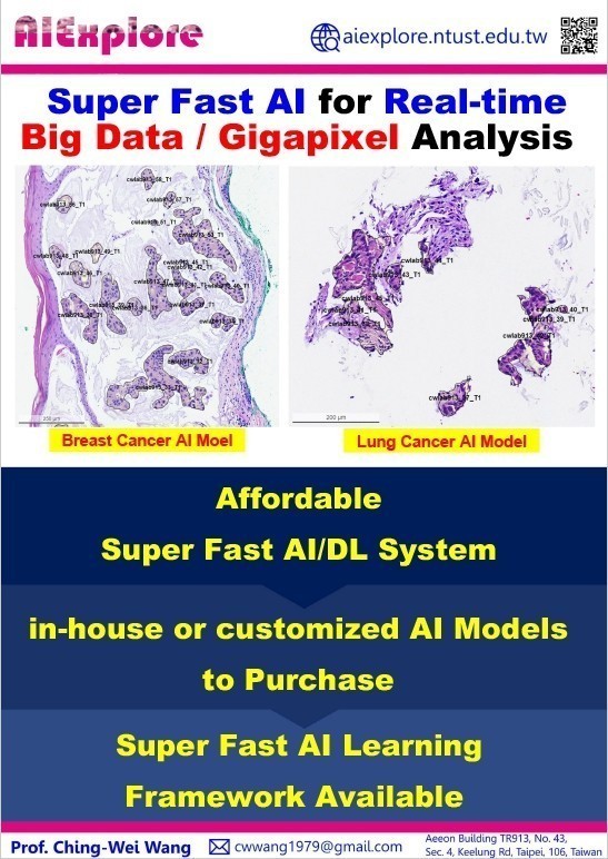 Super Fast AI Server for Terapixel Image Analysis [AI Pathology]