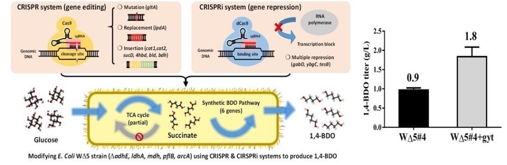 Microbial metabolic engineering and bio-derived chemicals production using CRISPR technology