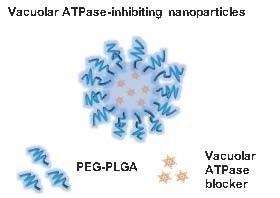 Broad-spectrum antiviral nanoparticles