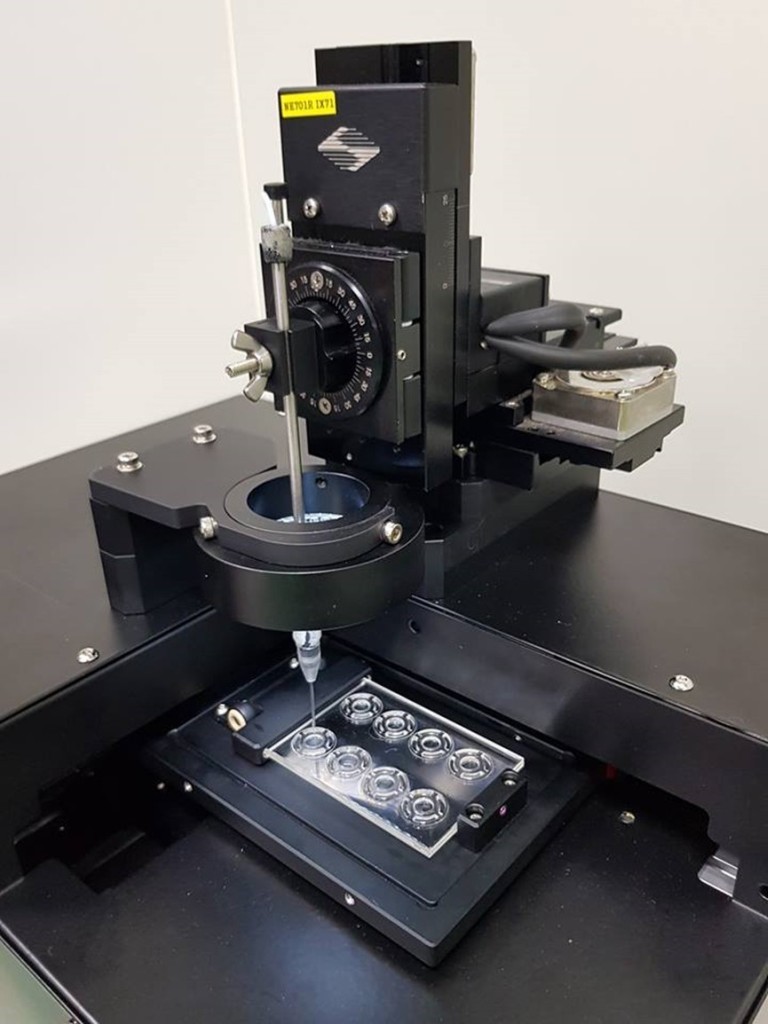 Rare cell screening chip and automatic image analysis system