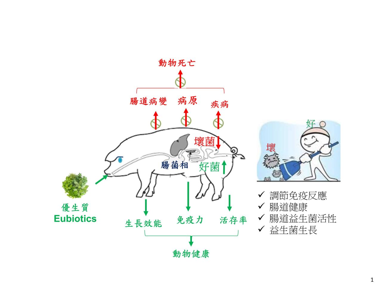 Eubiotics for human and animal health
