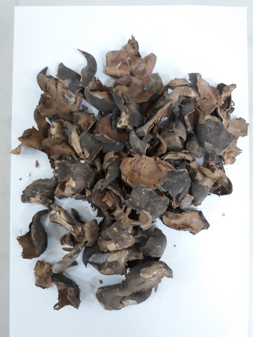 Conversion of water caltrop husk into high-value carbon-based products