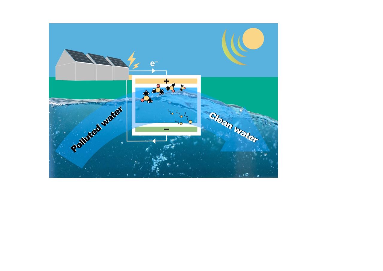 Novel photovoltaic-driven electrocatalysis/electrosorption technology for wastewater treatment