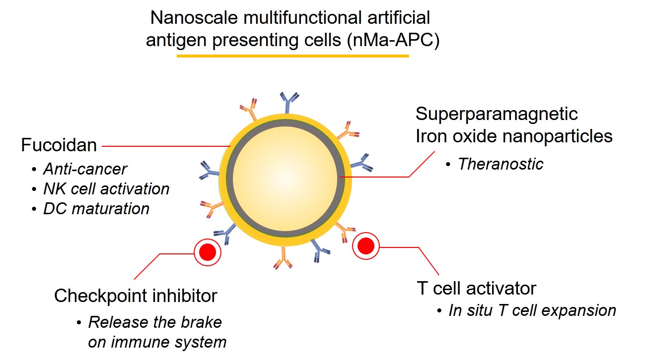 Low-dose nanoscale biomimetic cell structure – Next-generation platform technology for advanced precision immunotherapy