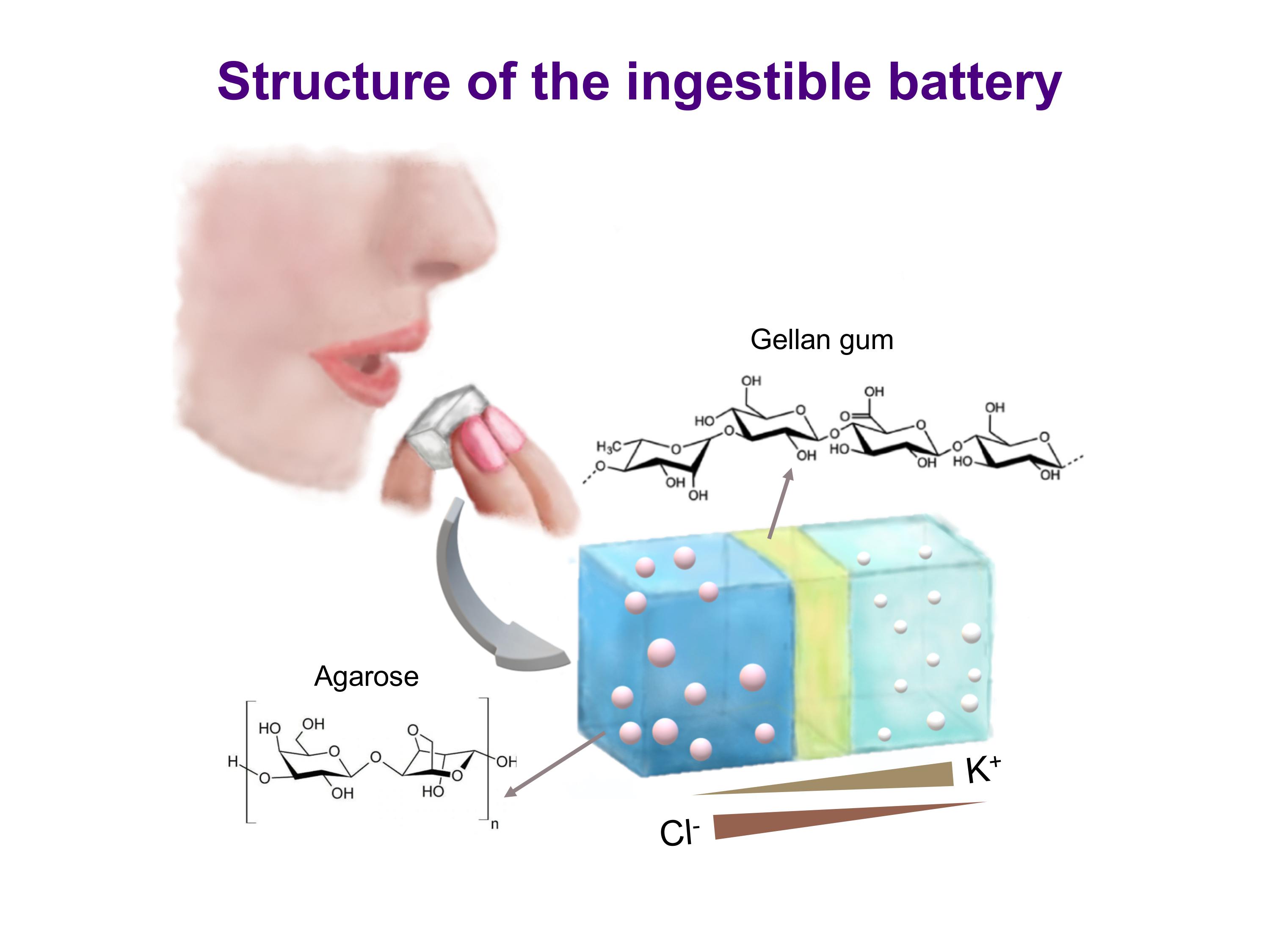 Ingestible battery coupled with triboelectric nanogenerator for antibacterial function