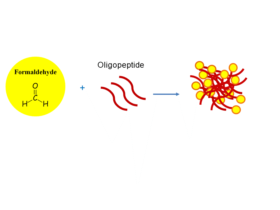 Oligopeptide, Kit and Method for Detecting Formaldehyde