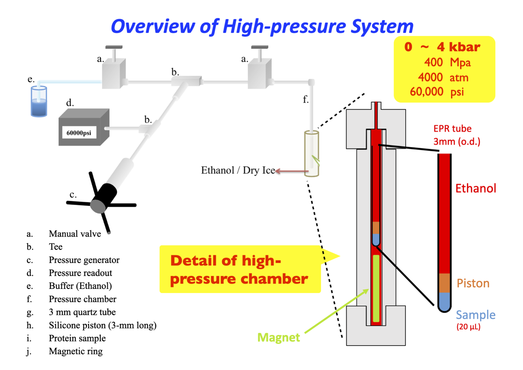4-kbar高壓系統之架設及其生醫研究與應用