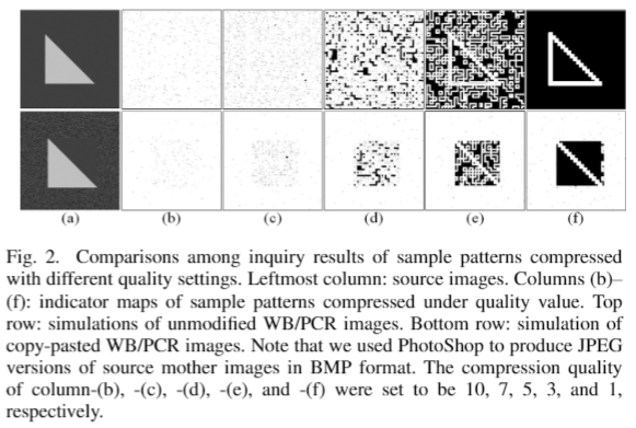 Forgery detection system and method for biomedical experiment images