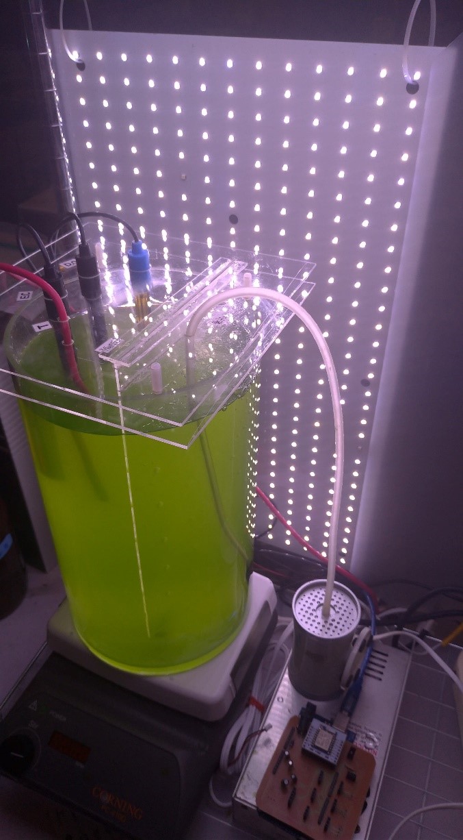 System of intelligent sustainable microalgae bioreactor