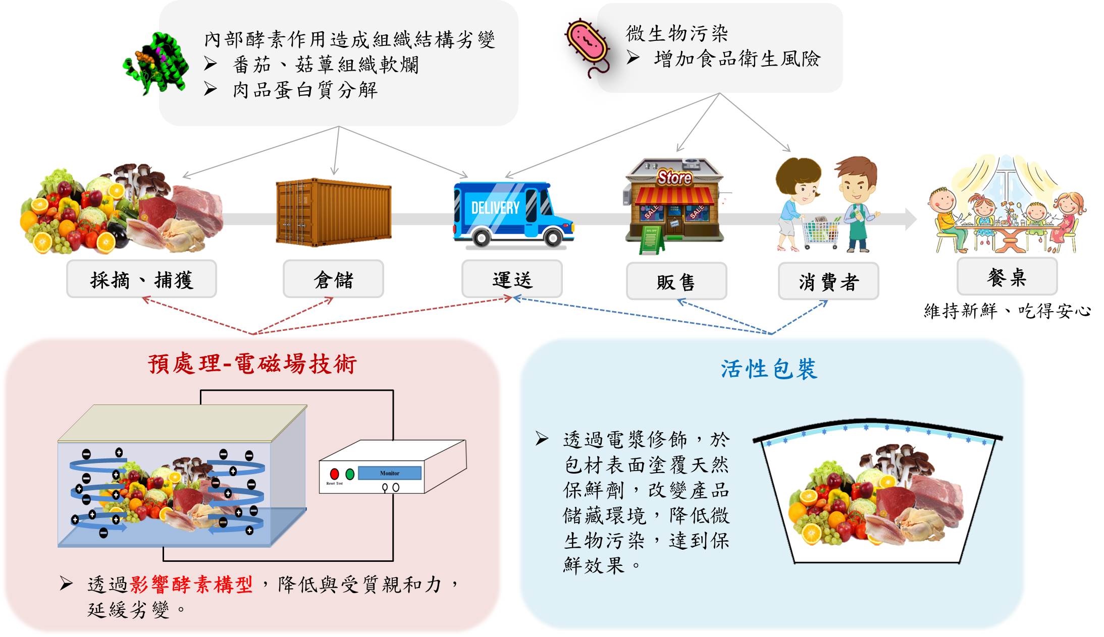Electromagnetic field technology combined with active packaging application for food preservation