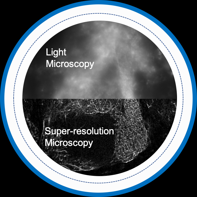 層光超顯微生物組織影像技術