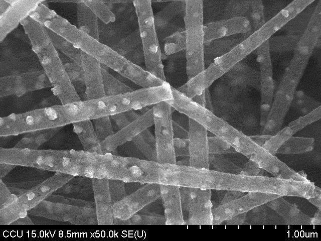 Catalysts and carbon nanotubes embedded carbon nanofiber with porous structure