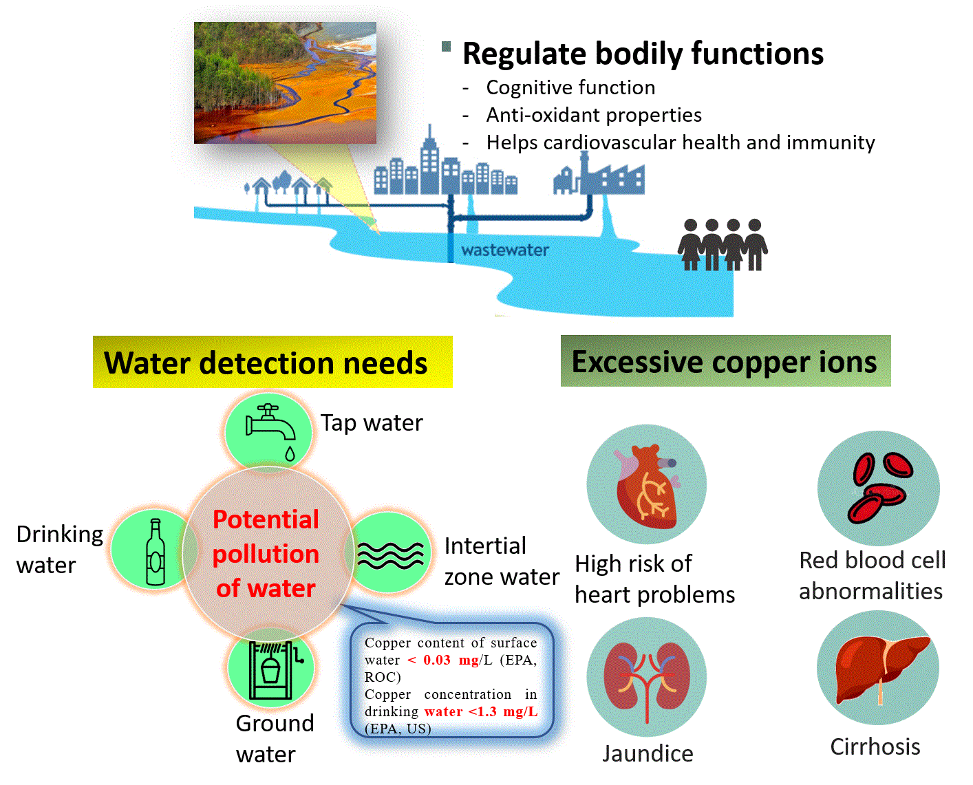 結合肉眼可辨識與電化學定量檢測之可攜式銅離子感測技術