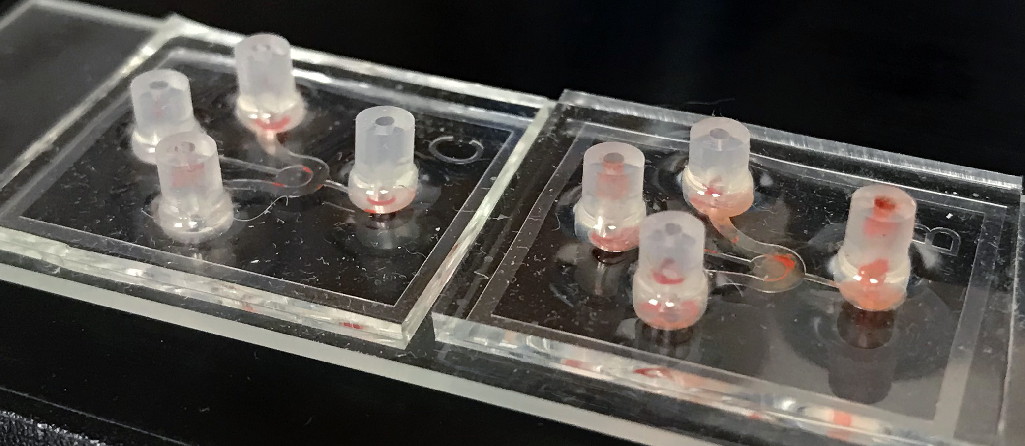器官晶片-三維細胞培養與藥物測試篩選的陣列平台