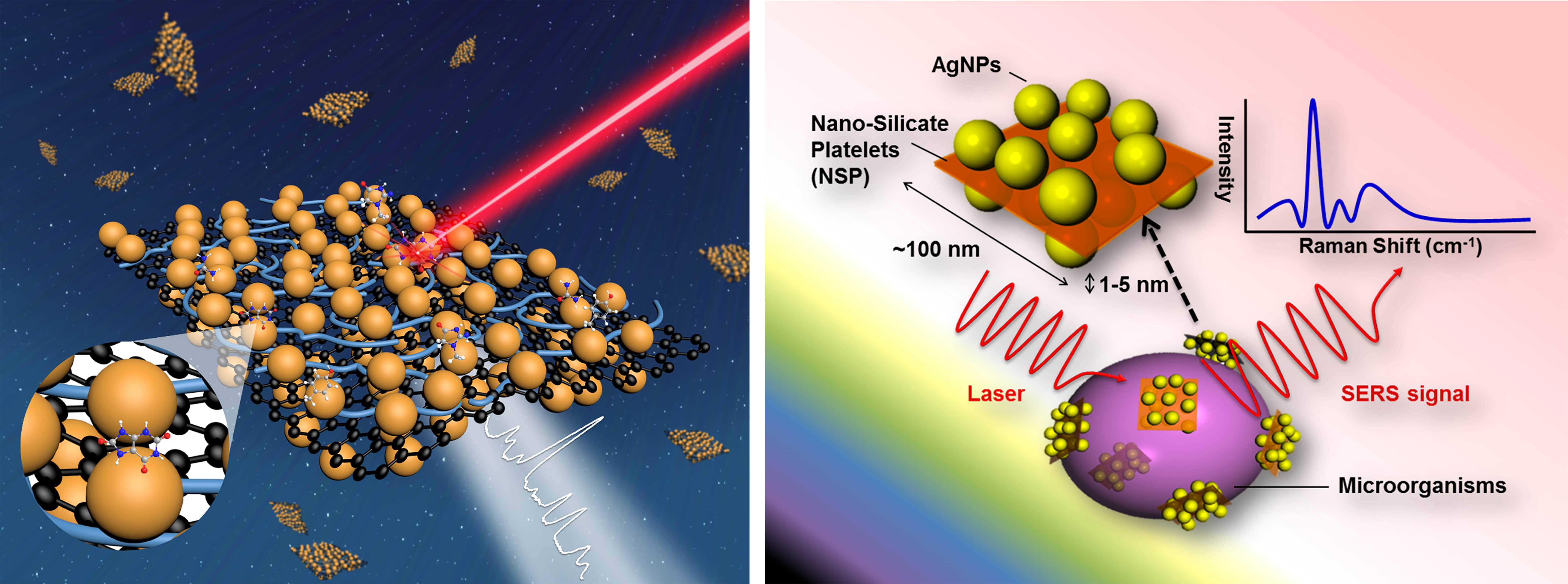 磁性二維金屬奈米粒子陣列之表面增強拉曼光譜 (SERS)檢測平台於環境-生醫感測之應用
