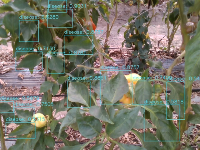 人工智慧機器人應用於植物醫學之研究-以甜椒為例