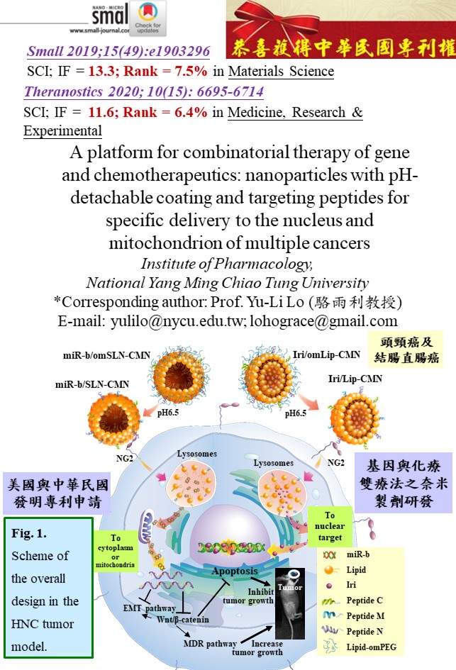 A platform for combinatorial therapy of genechemotherapeutics: nanoparticles with pH-detachable coatingtargeting peptides for specific delivery to the nucleusmitochondrion of multiple