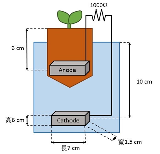 懸掛浸水式植物栽培發電系統