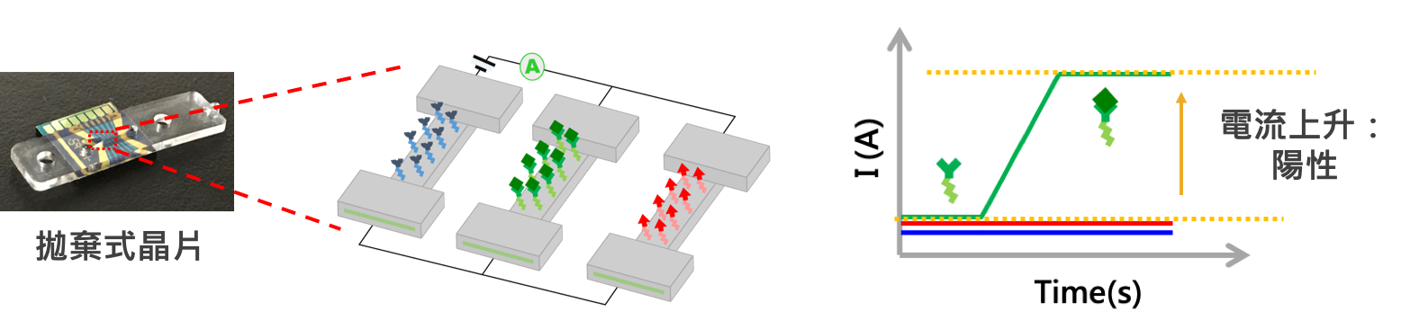 Ultrahigh-sensitive Semiconductor BiosensorAnalyzer
