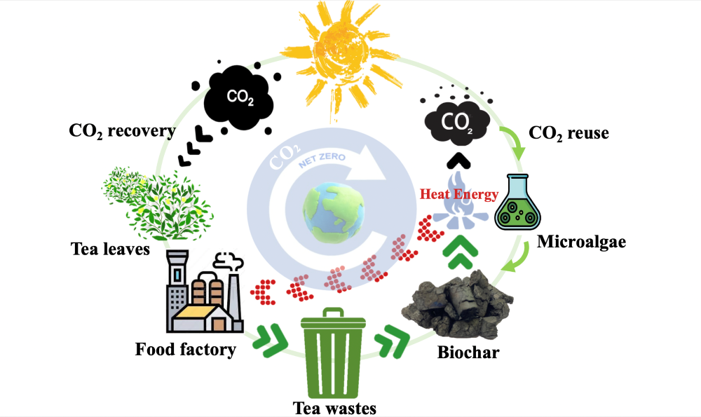 事業廢棄物轉質再利用之淨零排放系統