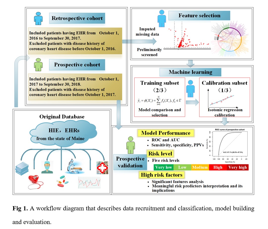 Integrated Multiple Machine LearningDeep Learning Algorithms to Construct Prediction Model of Incident Cardiac DysrhythmiaCoronary Heart Disease