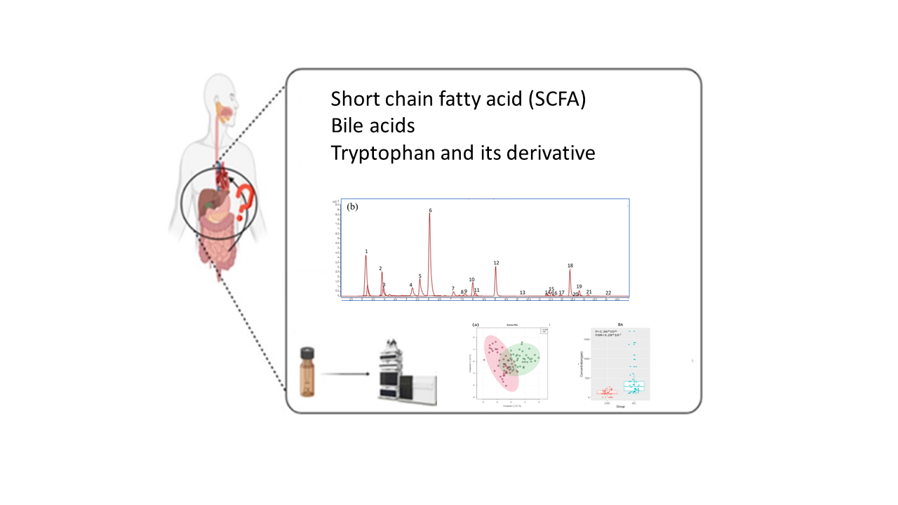 Use mass spectrometers to develop analytical methods for metabolomicsgut-microbiota metabolites measurement